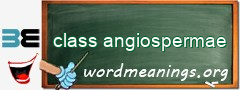 WordMeaning blackboard for class angiospermae